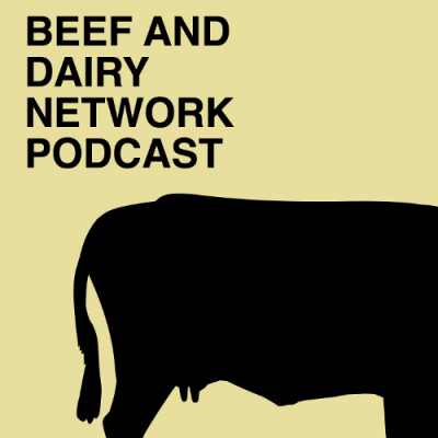 Beef And Dairy Network Podcasts Logo