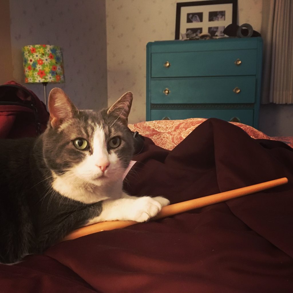 a cat holding a wooden wand