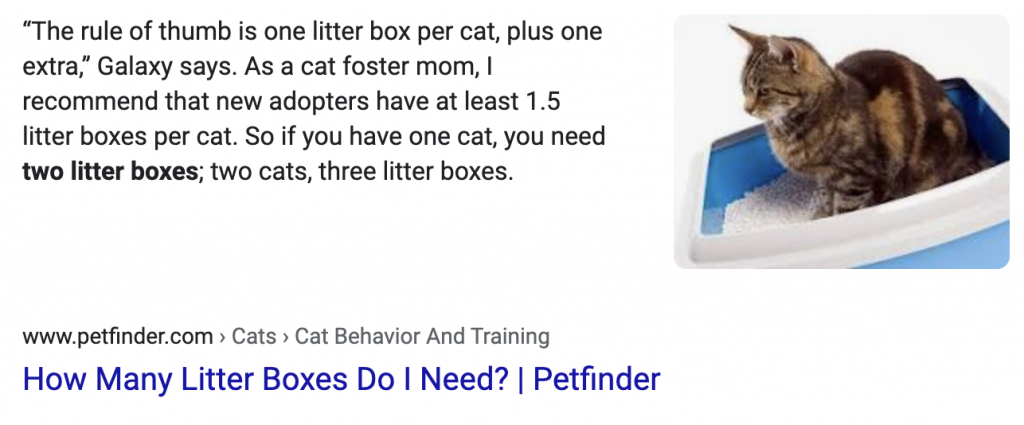 screen shot of a jackson galazy quote about litter boxes with a photo of a cat inside a litter box
