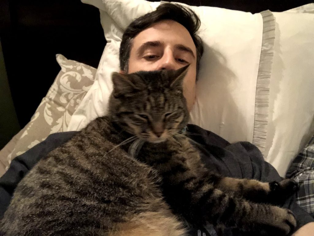 a cat sitting on a man's chest, blocking view of the man's face