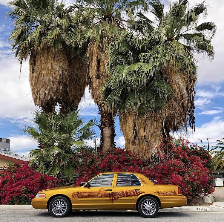 The same gold car with the Jerry Orbach airbrush illustrations, from the side, in front of palm trees and bougainvilleas. The side view shows Jerry Orbach along the doors, with a cityscape and United States flag.