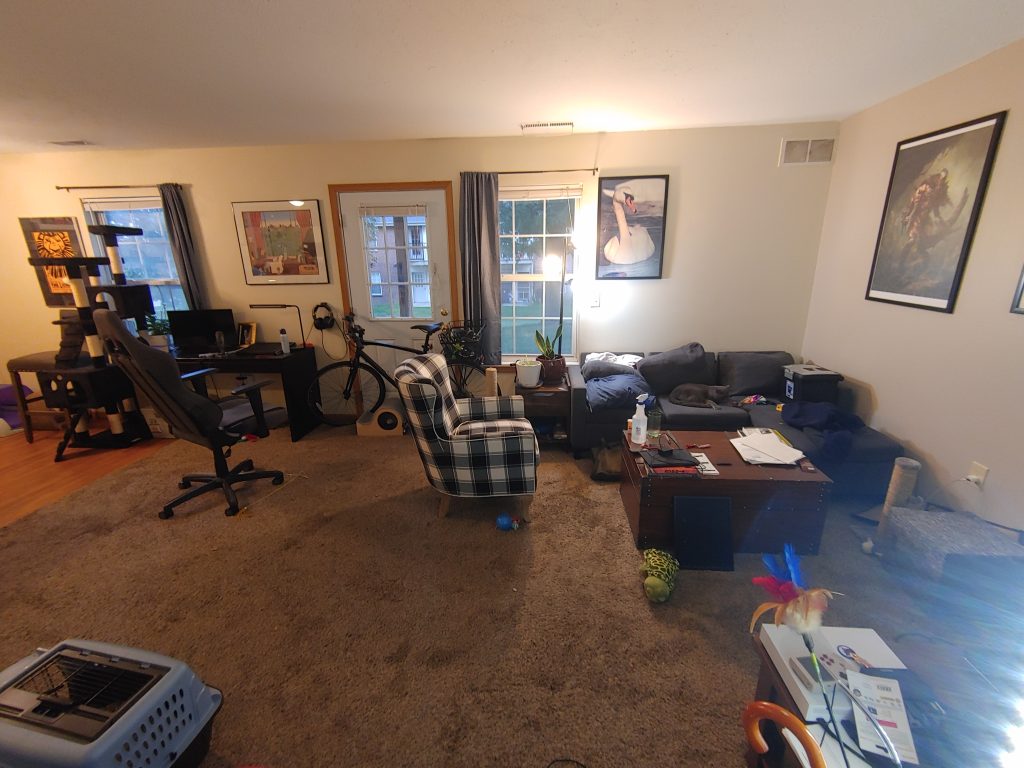 A wider angle of the living room, showing the sofa to the right, a desk to the left of the sofa, the cat tree to the left of that, and other cat items strewn about the room. A bike is in the room too and the floor is hardwood on the left, but carpeted on the right.