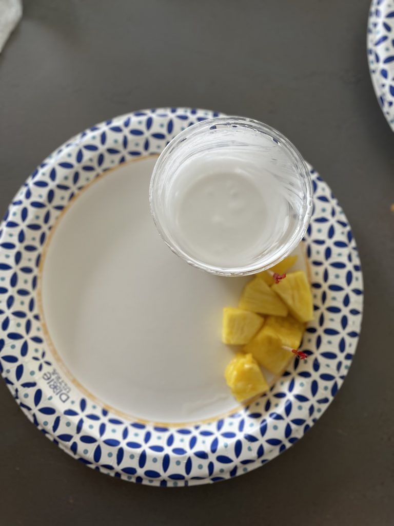 pineapple chunks on the side of a plate with a clear plastic cup of a white, thick, liquid next to them.