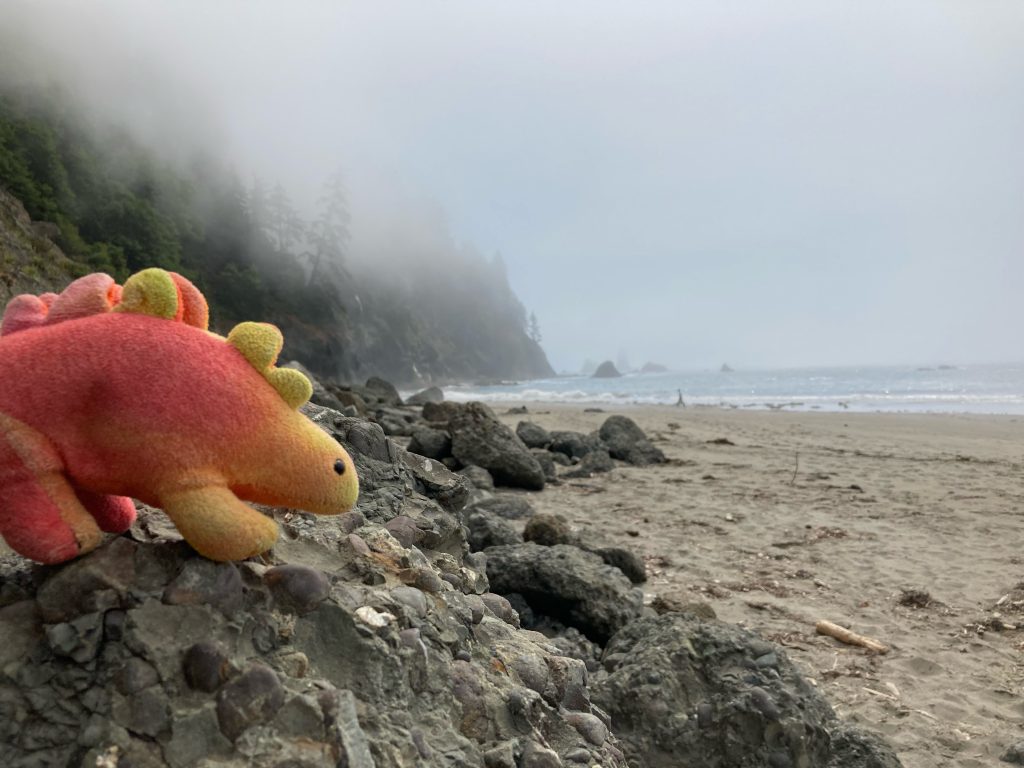 A plush stegosaurus on a rocky beach