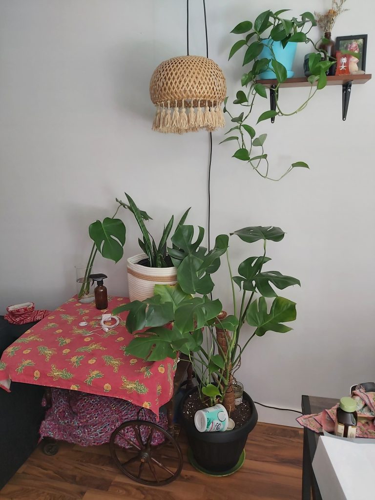 Plants next to a table with an overhead macrame covered light turned off