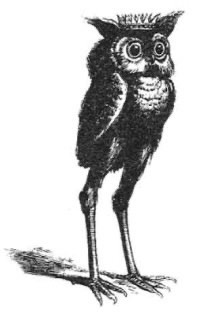 A drawing of an owl wearing a crown with really long legs