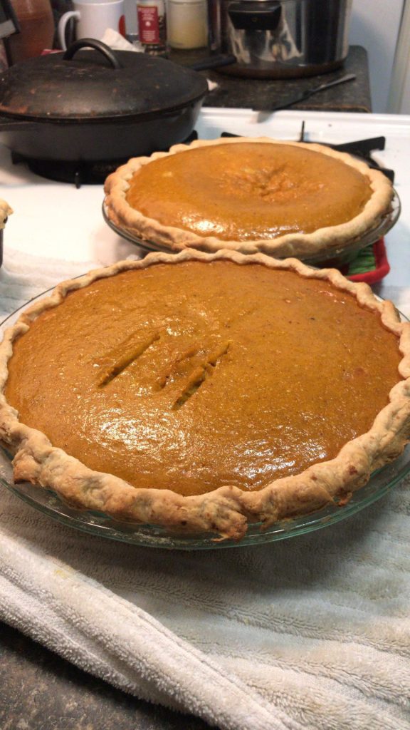 two pumpkin pies on a counter