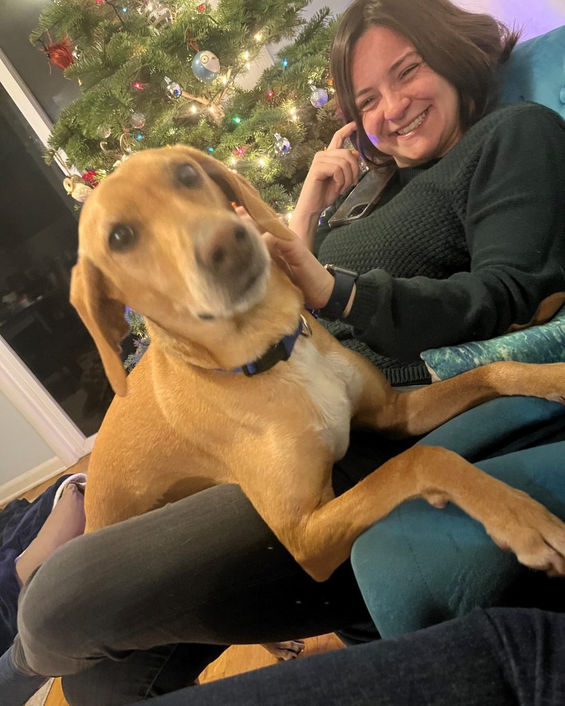 A blurry picture of a brown dog, attempting to sit on two people's laps at once