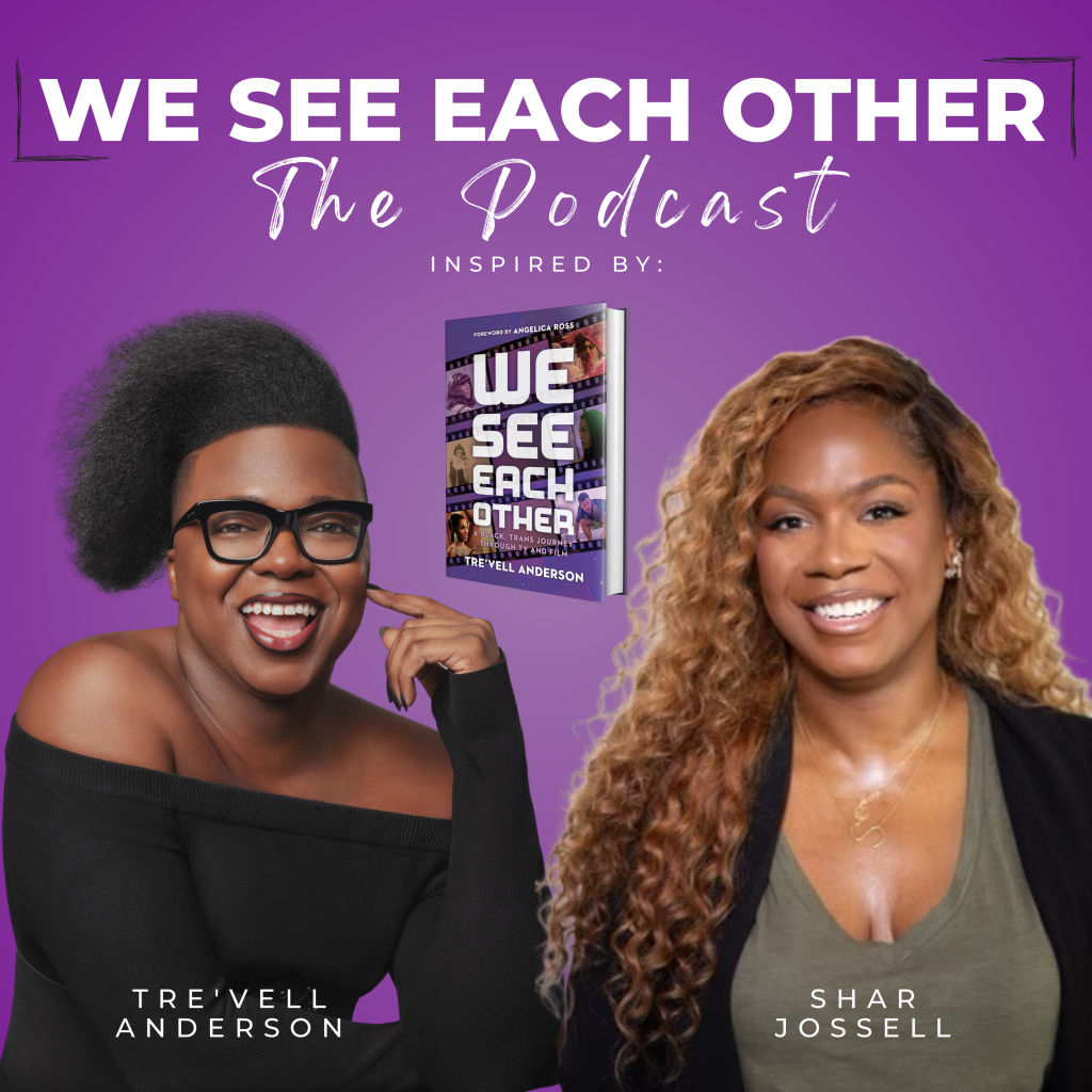 We See Each Other The Podcast Maximum Fun