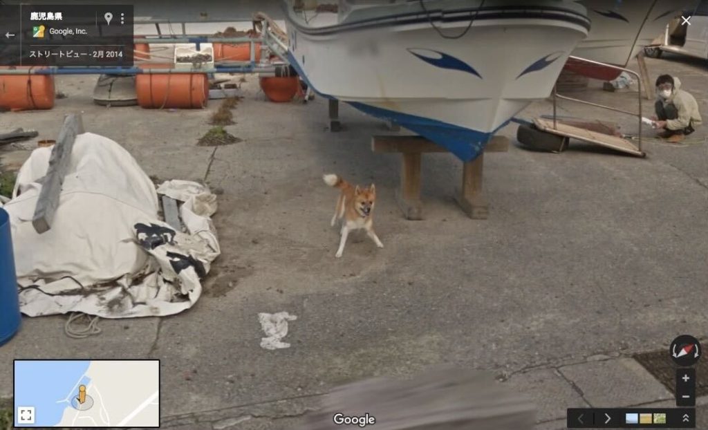 A screenshot of Street View on Google Maps, showing a view of a concrete dock in Japan. There is a white boat with blue trim up on blocks, and an excited Shiba Inu dog standing under it.