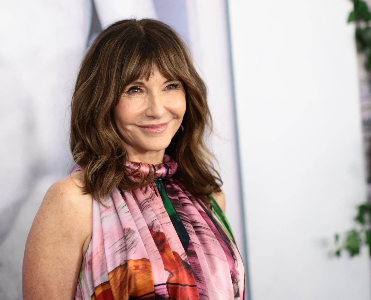 Mary Steenburgen Maximum Fun