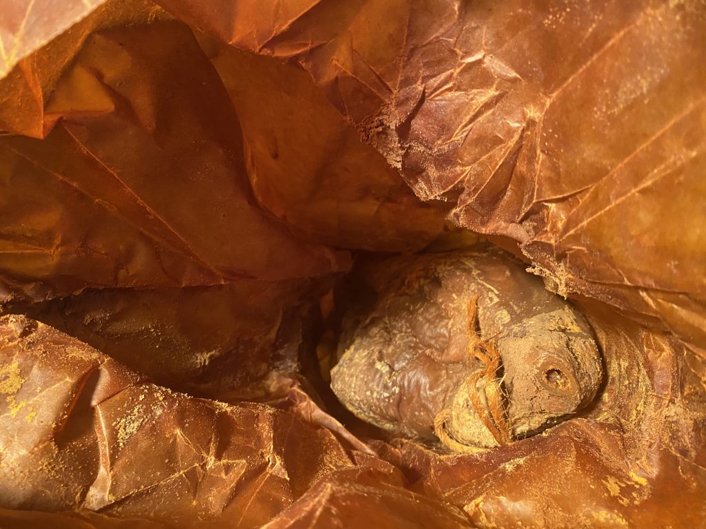 A 50+ year old dry aged ham inside a waxed paper bag. It looks terrifying.
