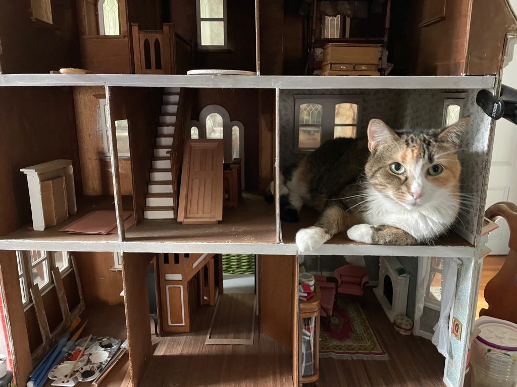 A dollhouse that has not been finished yet, with a cat lying in one of the rooms
