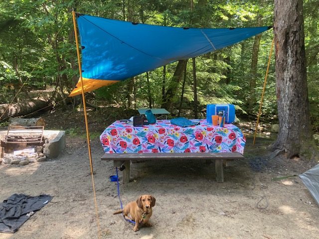 A tableclothed picnic table under a tarp. The dachshund is standing in front.
