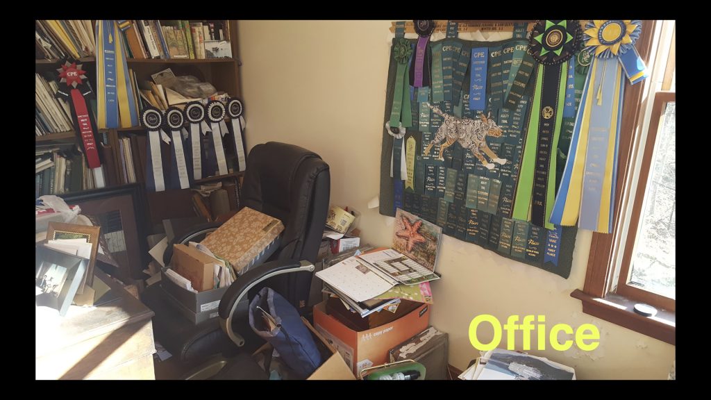 A cluttered office with a bulletin board of blue ribbons