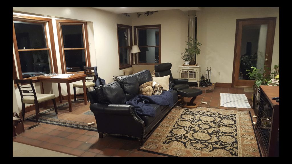 A living room with a large Catahoula Leopard Dog on the couch