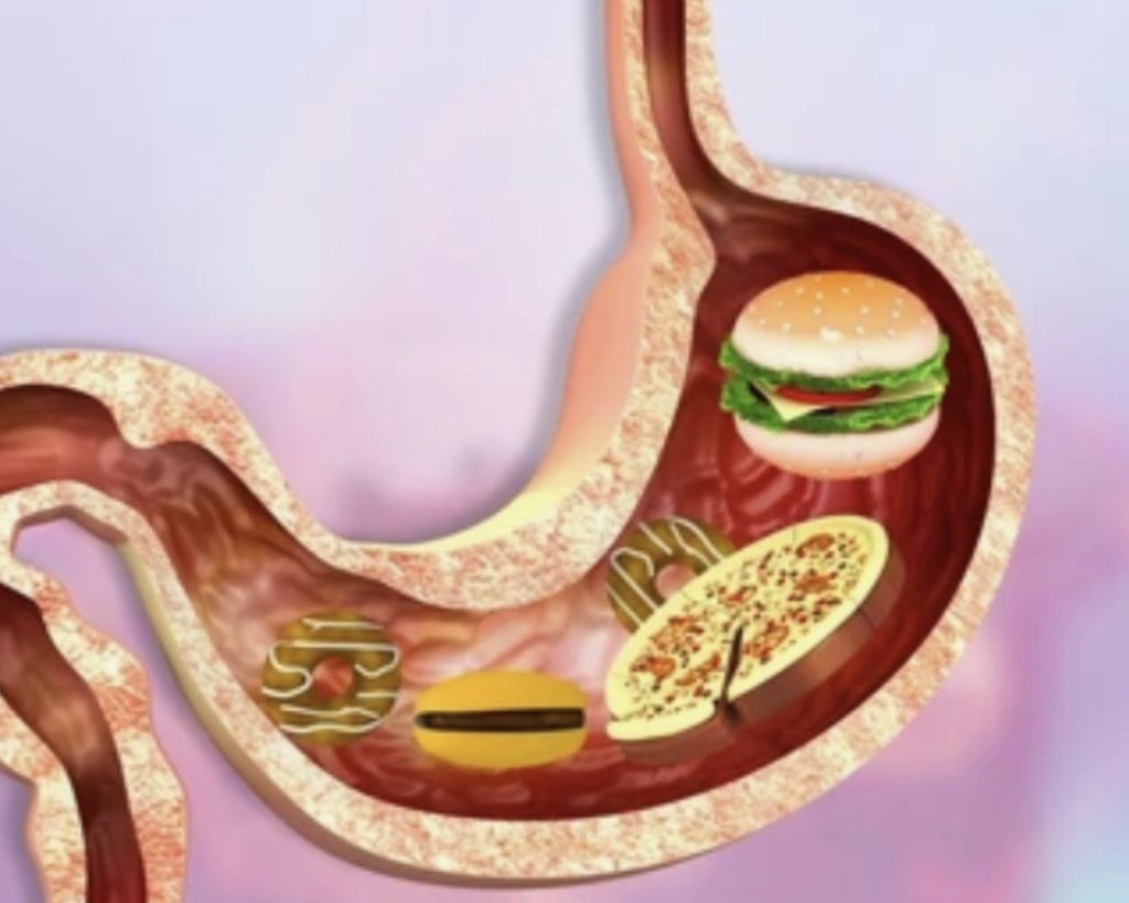a cartoon illustration of a stomach with a whole burger, pizza, hot dog and cookie in it