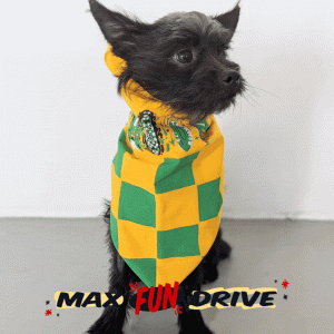 A GIF of Fidget, a small black dog, modeling the MaxFunDrive 2024 bandana, bucket hat, and bag.