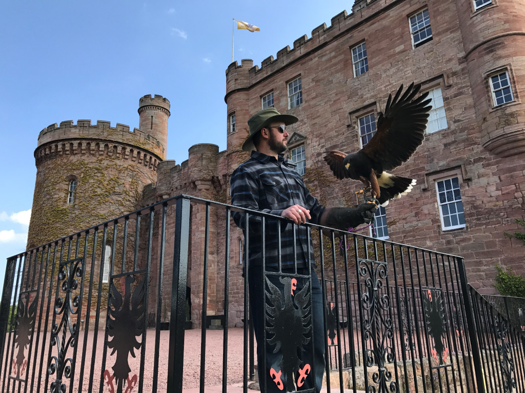 A man standing outside a castle with a falcon on his arm