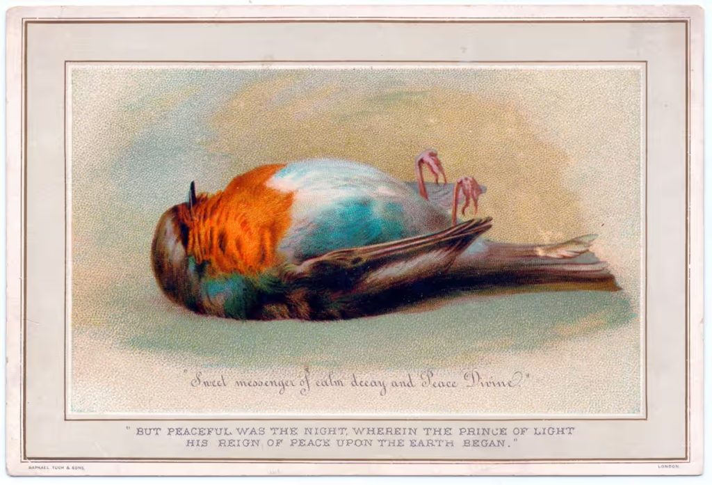 A Victorian Christmas card depicting a dead bird, with the caption, 