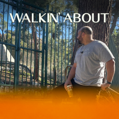 Colton Dunn looks into Brand Park through a fence.