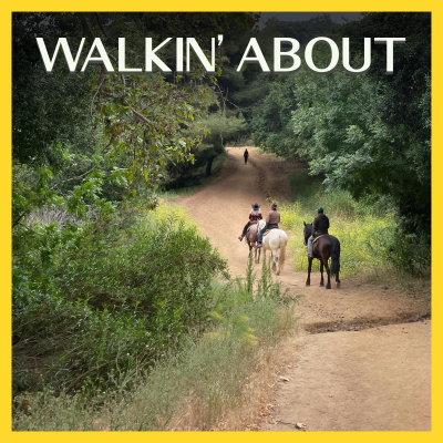 Three people riding horses into the distance on a dirt trail flanked by greenery on both sides.