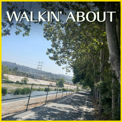 A clear sunny day on the LA River. A small river surrounded by a combination of greenery, concrete, and rocks.