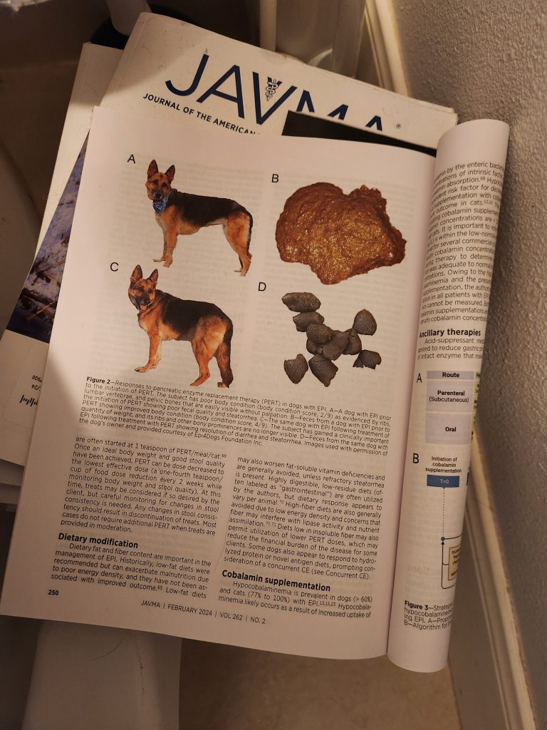 A page inside a veterinary medical journal depicting a german shepherd and a bowel movement.