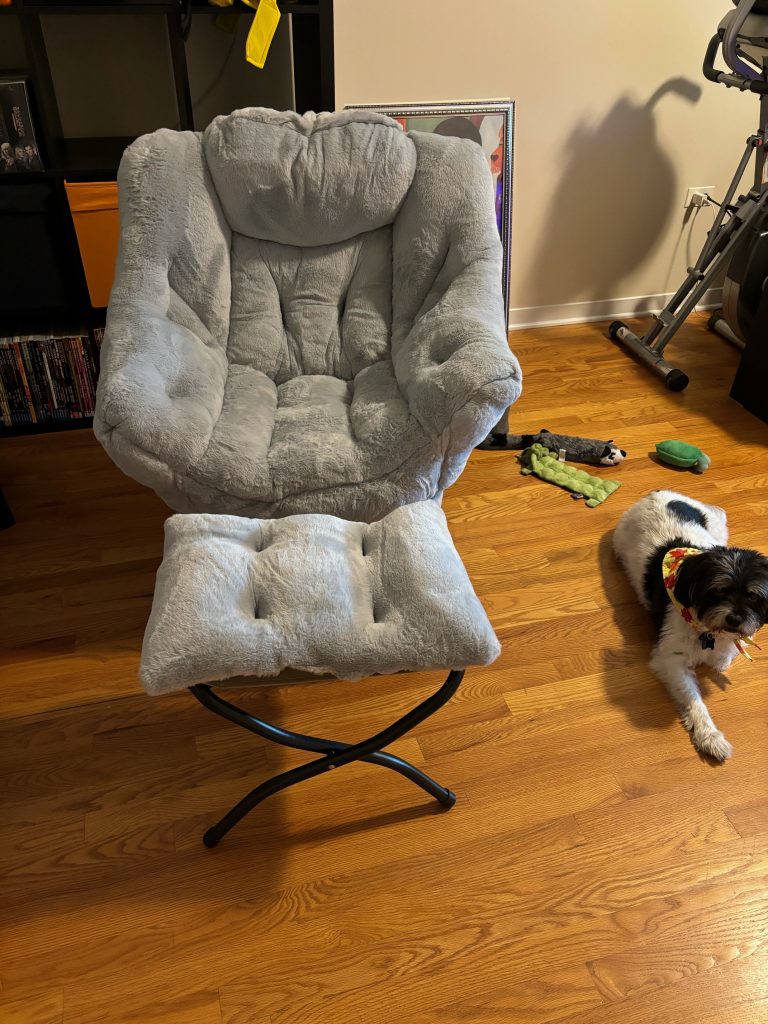 a gray overstuffed fuzzy chair and matching ottoman, with a dog in the bottom corner of the frame