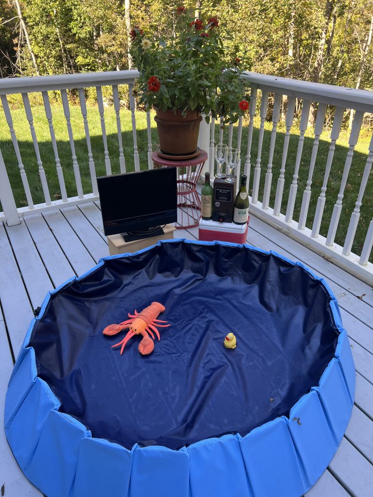 A kiddie pool on a deck with a fake lobster inside it and a tv next to it