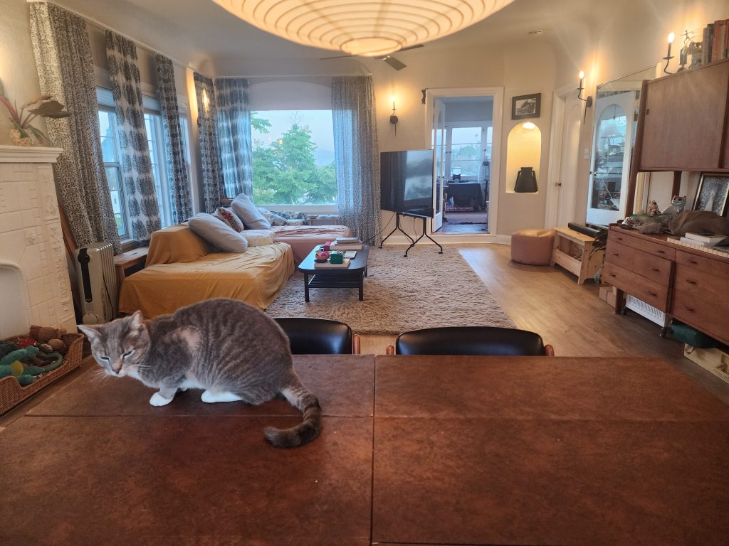 In the foreground there is a gray cat on a dining table and in the background is a living room with a large TV