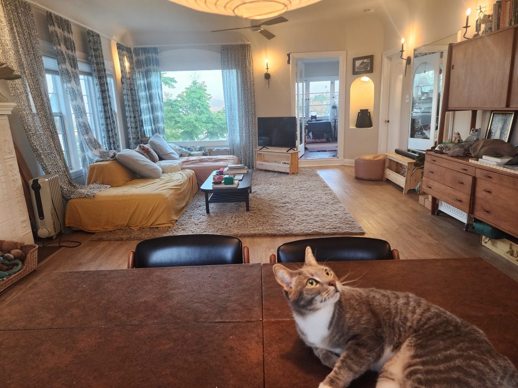 In the foreground there is a gray cat on a dining table and in the background is a living room with a large TV