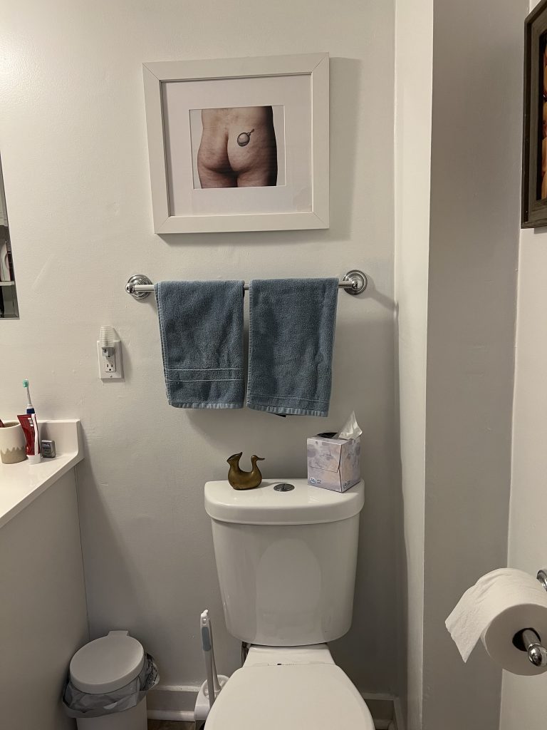A photo portrait of a butt with a bomb emoji framed and hung over a toilet
