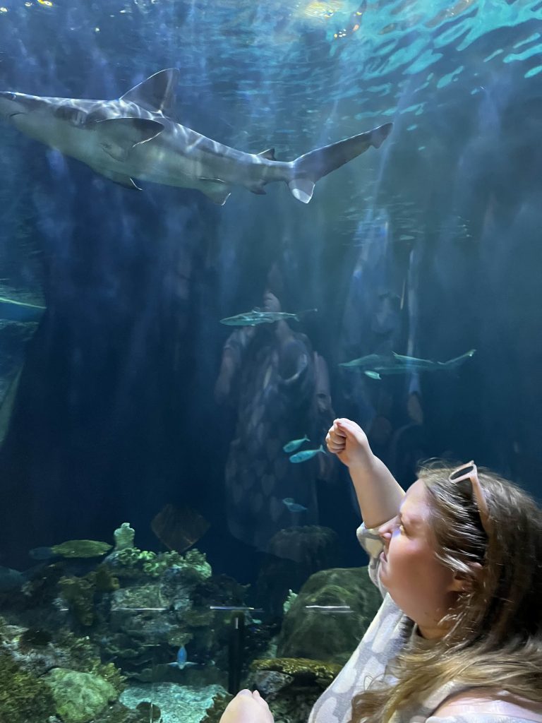 A woman standing in front of a tank at an aquarium with her fist in the air in a threatening way. A shark is inside the tank.