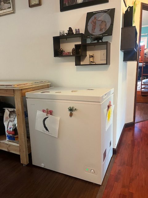 A white chest freezer next to a wooden countertop against a white all
