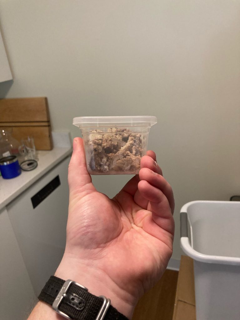 Leftovers in a tiny clear plastic tub, smaller than the hand holding it.