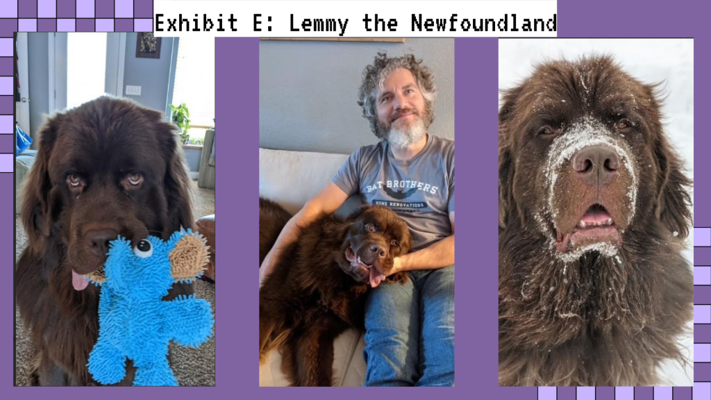 Presentation slide showing Mike and his dog