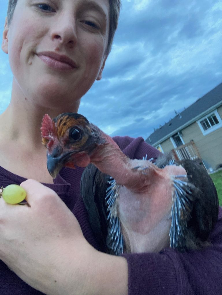 A woman holding a grape in her hand and a chicken in her arm, ready to feed the grape to the chicken.