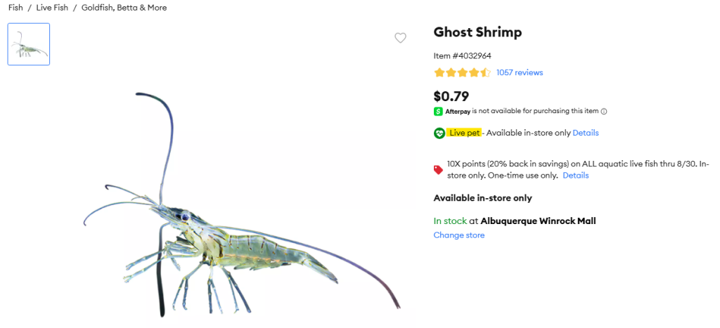 screenshot of a website product info page for ghost shrimp
